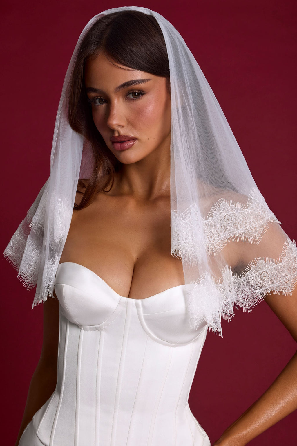 Chic Lace-Trim Veil in White