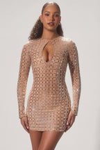 Chic Embellished Semi-Sheer Cut-Out Mini Dress in Honey