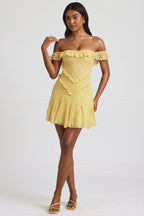 Chic Off-Shoulder Lace A-Line Mini Dress in Pastel Yellow