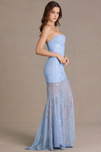 Chic Embellished Lace Corset Gown in Sky Blue