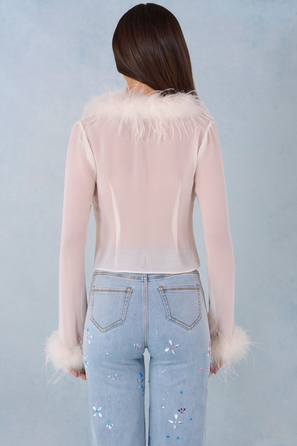 Chic Feather Trim Sheer Top in Ivory