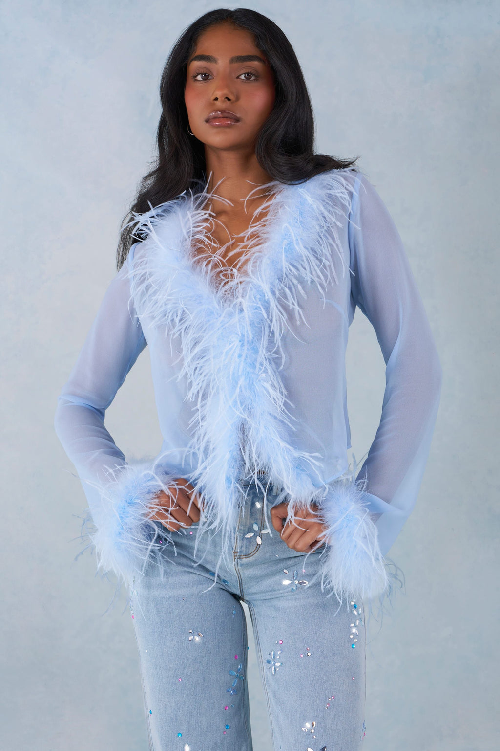 Chic Feather Trim Sheer Top in Soft Blue