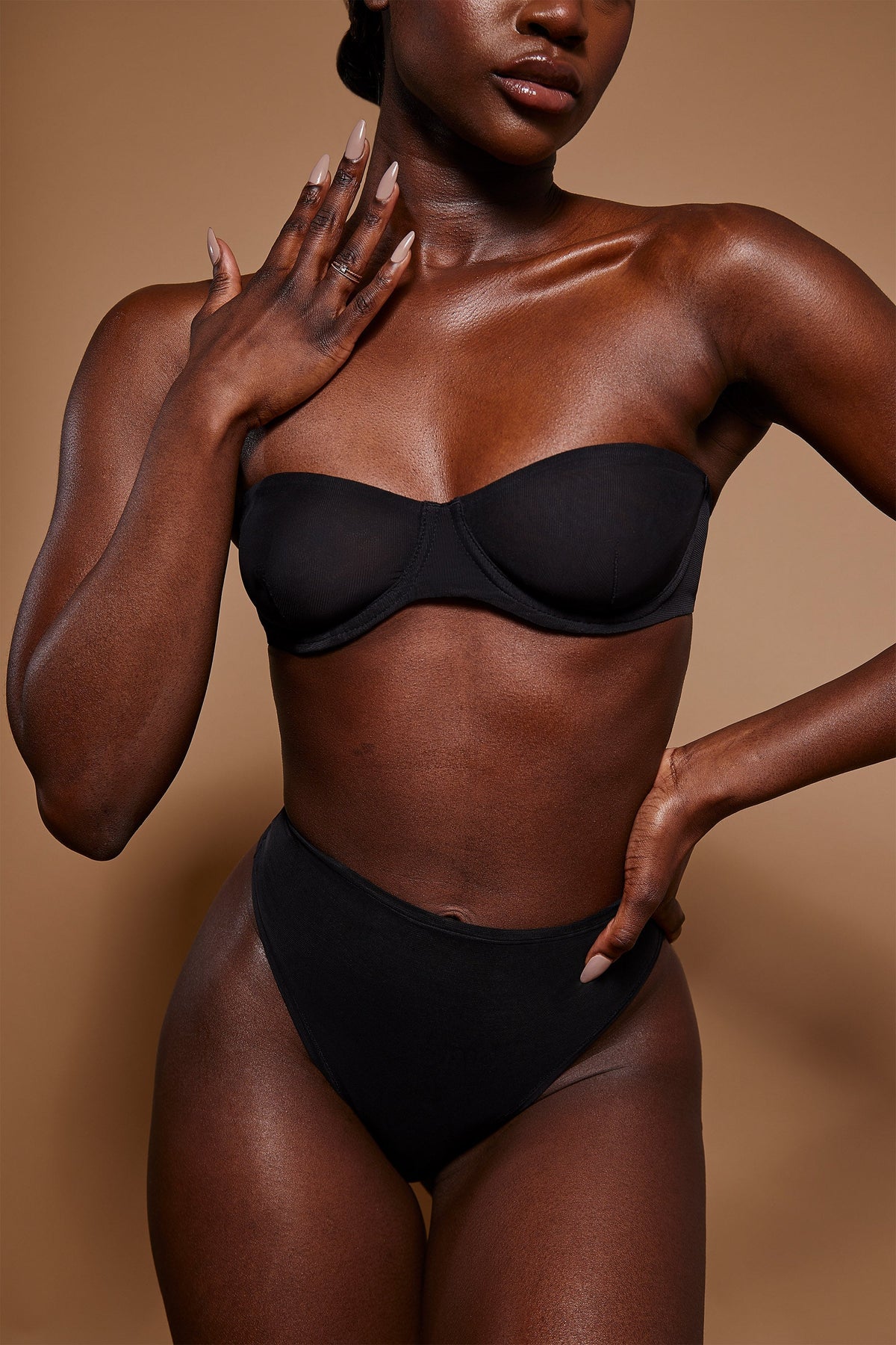 Chic Soft Mesh High Waisted Knicker in Black