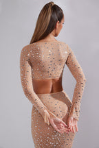 Chic Sheer Embellished Long Sleeve Crop Top in Almond