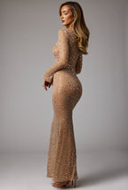 Chic Sheer Embellished Long Sleeve Evening Gown in Almond