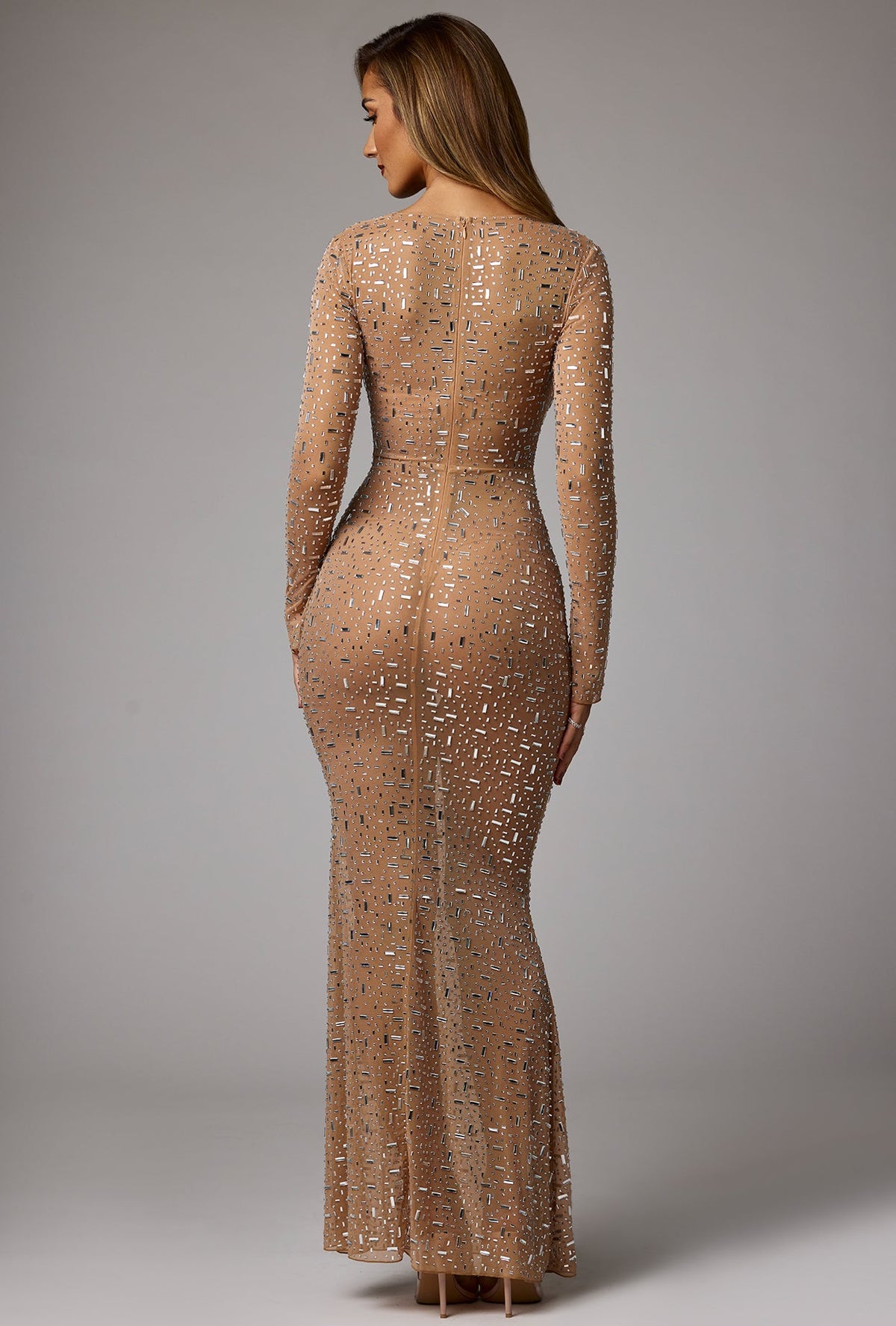 Chic Sheer Embellished Long Sleeve Evening Gown in Almond