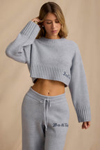 Chic Ribbed Knit Cropped Jumper in Soft Blue