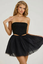 Chic High Waist Tulle Mini Skirt in Black
