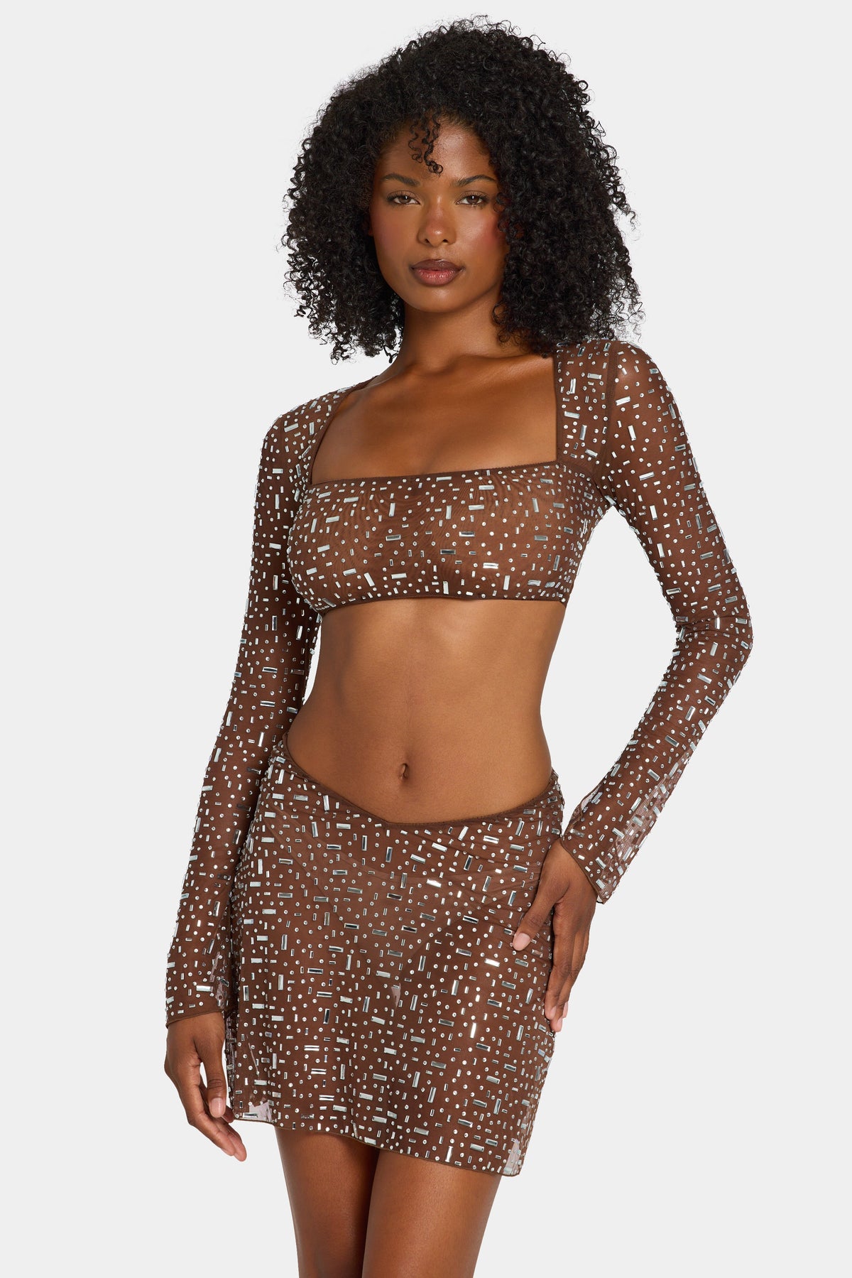 Chic Sheer Embellished Long Sleeve Crop Top in Deep Cocoa
