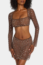 Chic Sheer Embellished Long Sleeve Crop Top in Deep Cocoa