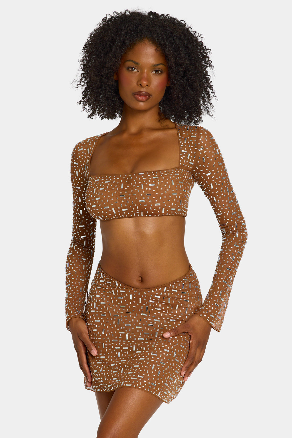 Chic Sheer Embellished Long Sleeve Crop Top in Mocha