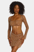Chic Sheer Embellished Long Sleeve Crop Top in Mocha