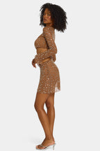 Chic Sheer Embellished V Waist Mini Skirt in Mocha
